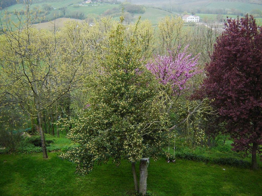 Casale Del Monsignore Spoleto Eksteriør bilde